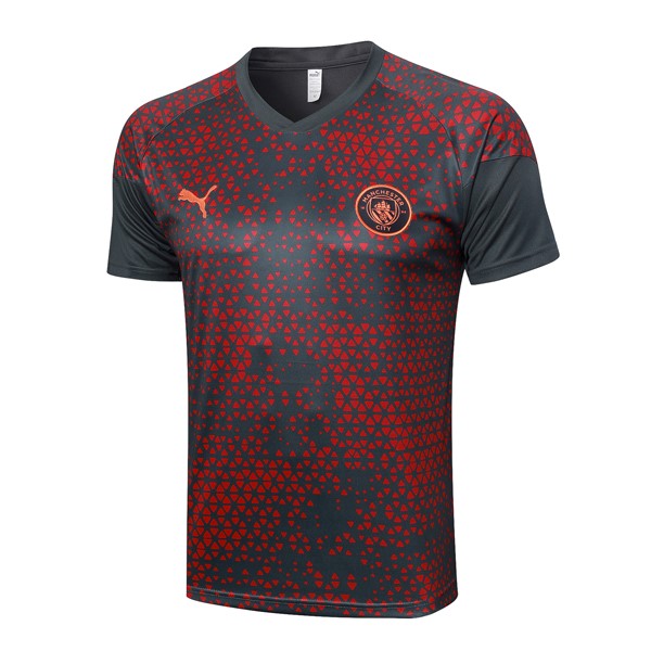 Camiseta Entrenamiento Manchester City 2024 Rojo Gris
